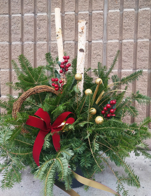 Outdoor Holiday Arrangement